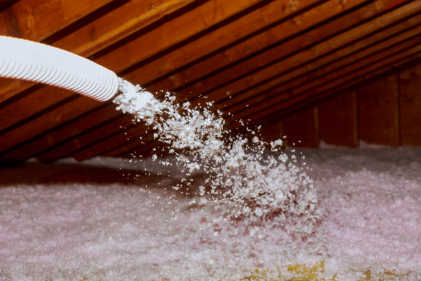 Best Spray Foam Insulation  in Meridianville, AL