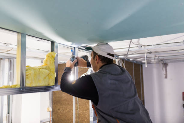 Best Best Insulation Companies  in Meridianville, AL