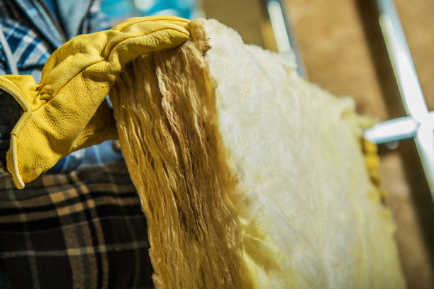 Insulation Contractors for Homes in Meridianville, AL
