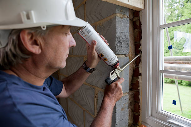 Best Attic Insulation Installation  in Meridianville, AL
