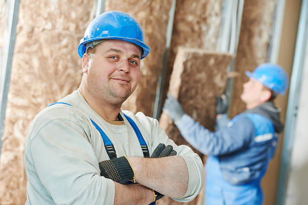 Best Soundproof Insulation Installation  in Meridianville, AL